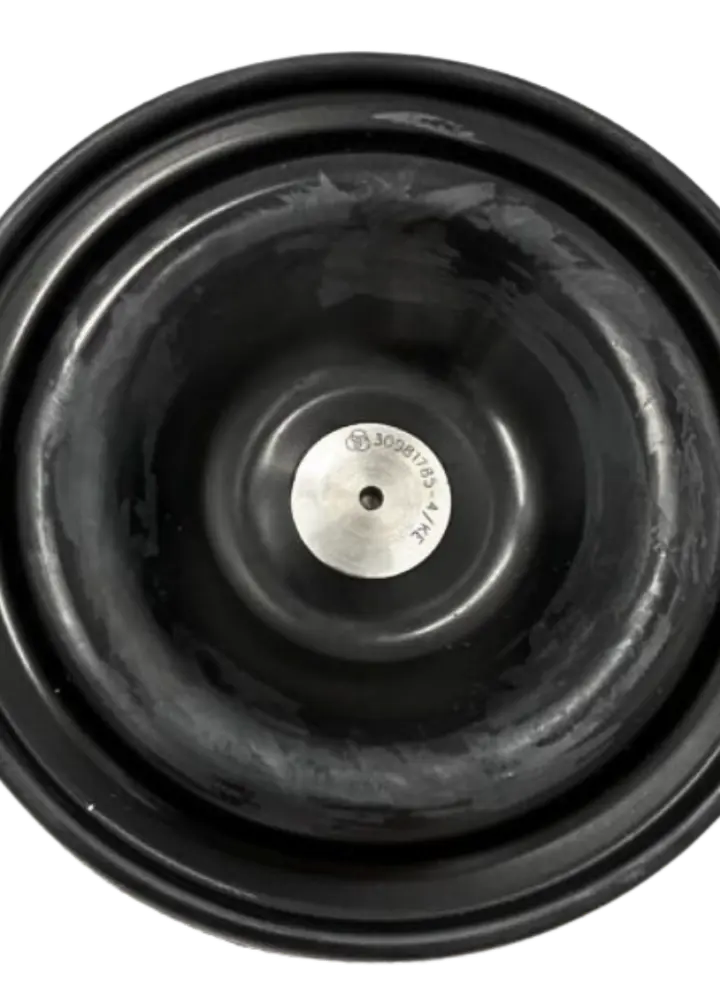 [B] Membrane for hydr. damping mechanism complete 